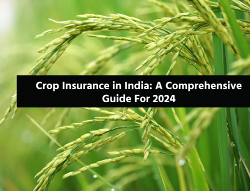 Crop Insurance in India: A Comprehensive Guide For 2024