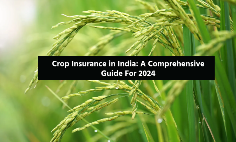 Crop Insurance in India: A Comprehensive Guide For 2024