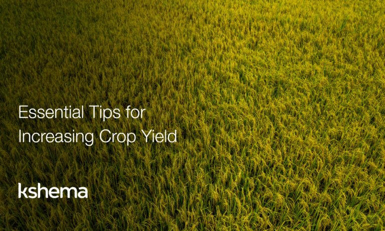 Farmer applying precision agriculture techniques, including weather forecasting and smart irrigation, to enhance crop yield and manage resources efficiently.