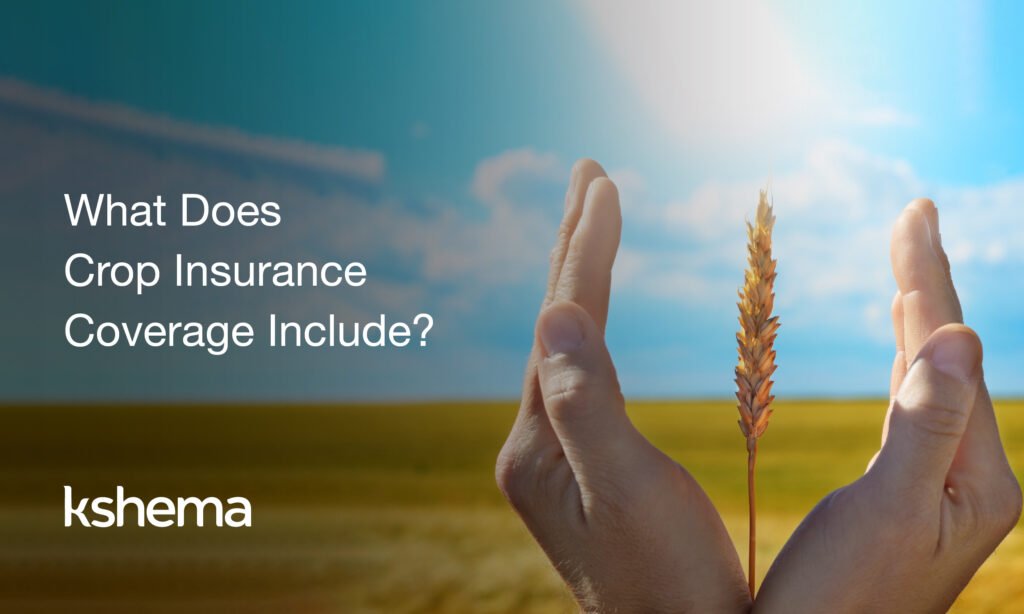 What Does Crop Insurance Coverage Include?