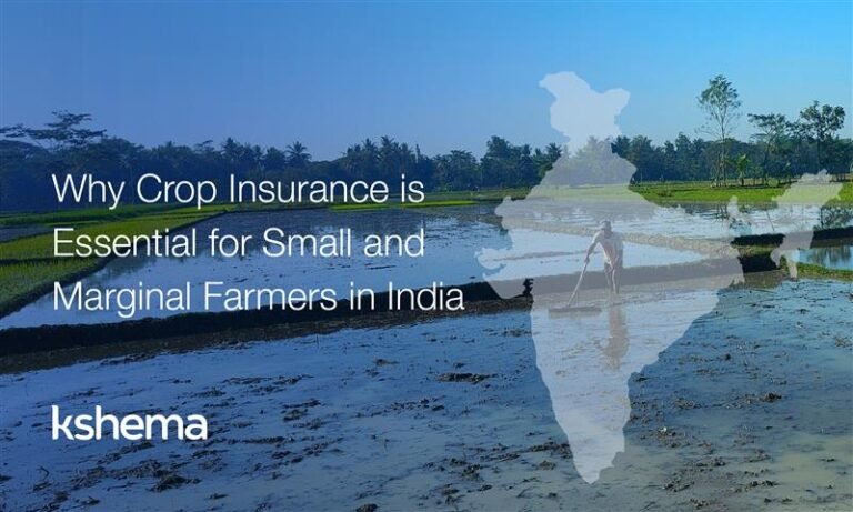 Kshema General Insurance: Crop Insurance in India Protecting Small Farmers' Livelihoods