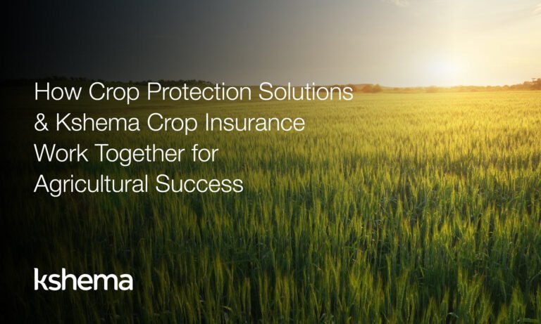 crop protection solutions, crop protection solution, crop insurance, crop insurance coverage, online crop insurance, kshema, kshema general insurance, digital insurance, digital crop insurance