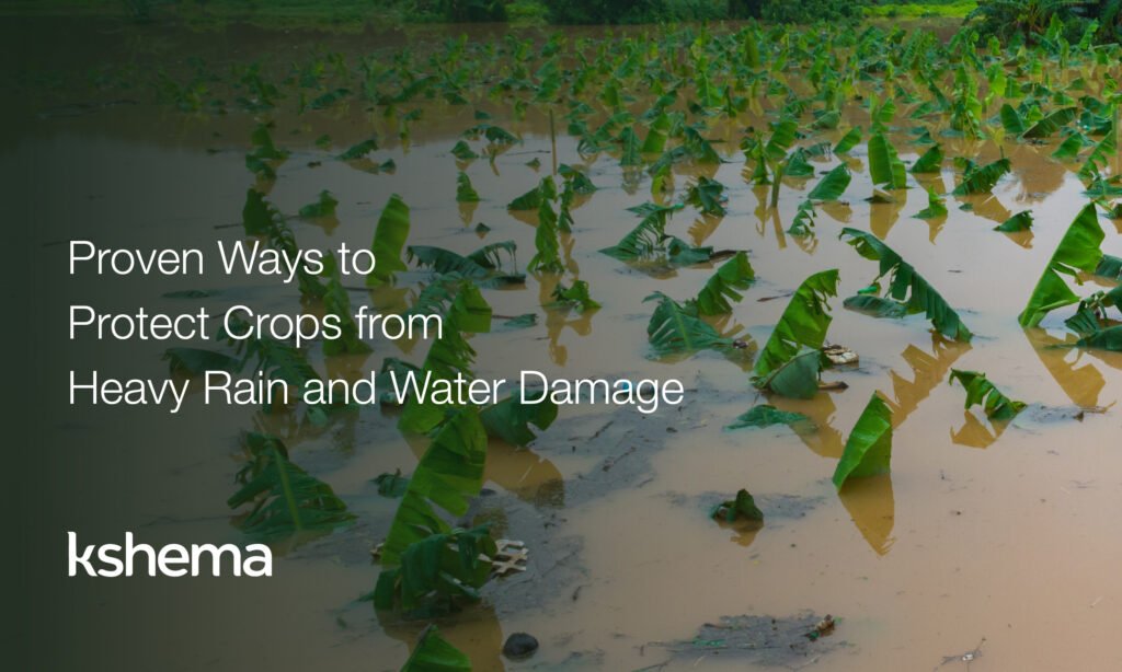 Proven Ways to Protect Crops from Heavy Rain & Water Damage