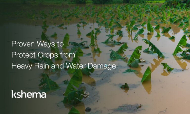 protect crops. crop insurance, crop insurance in india, crop protection from heavy rain