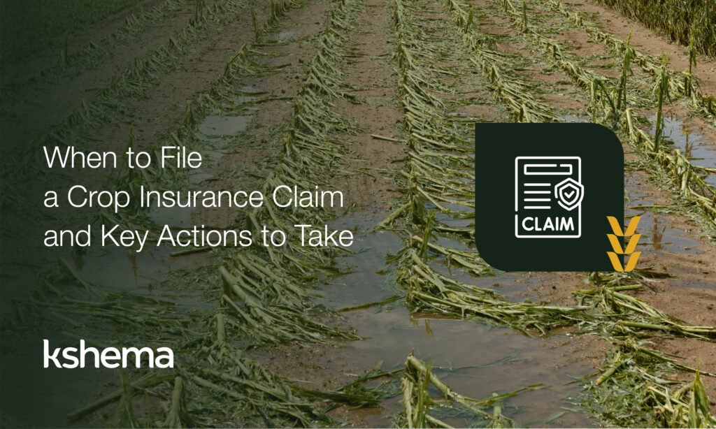 Expert Tips for Filing Crop Insurance Claims at Right Time