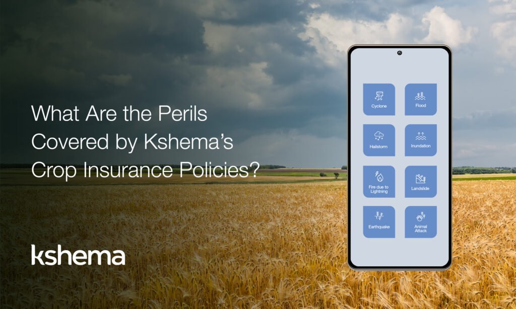 Crop Insurance Policies: 8 Perils Farmers Must Avoid