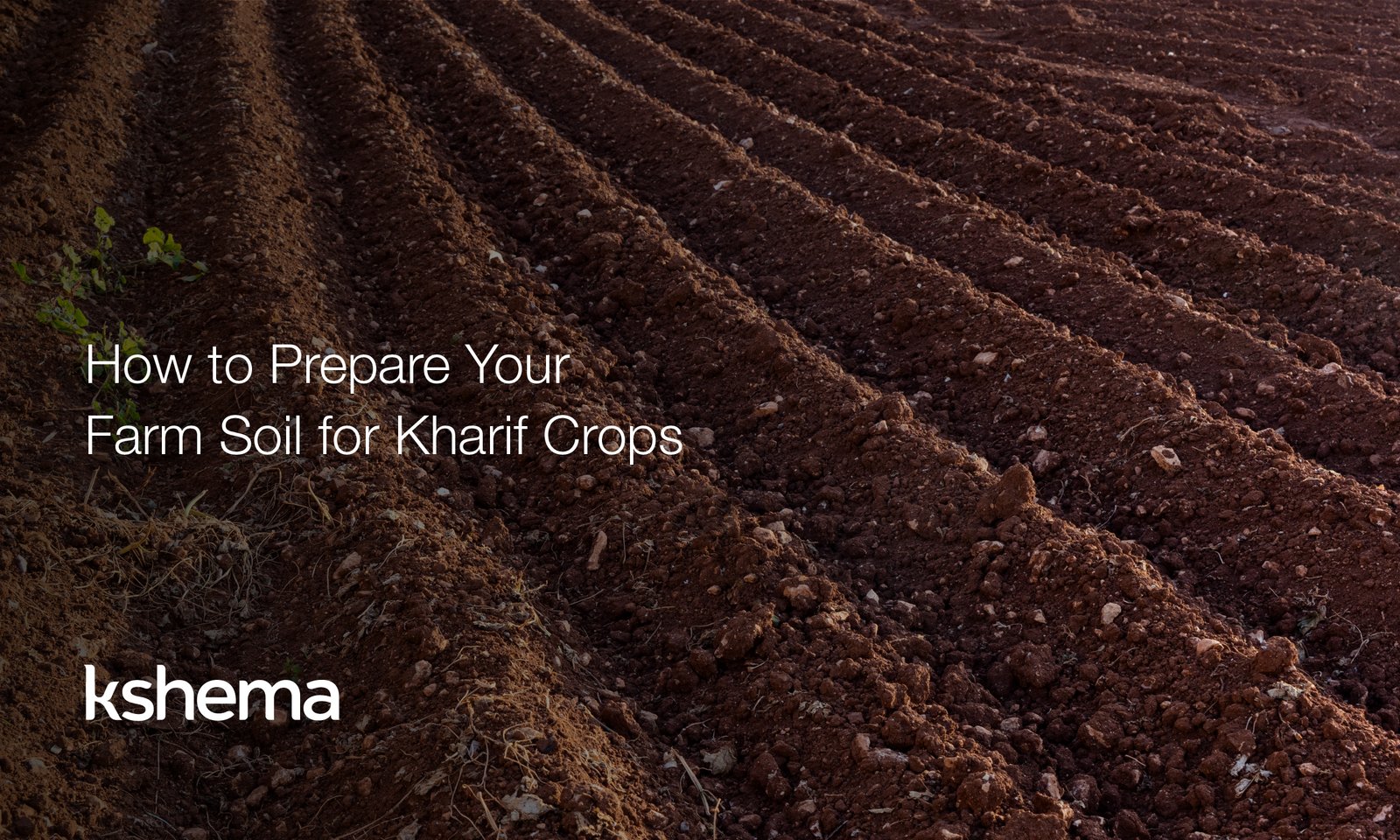 Kharif crops, How to Prepare Your Farm Soil for Kharif Crops, arif and Rabi Crops Differentiation Every Farmer Should Know, kharif season, Digital Agriculture , smart farming, Digital agriculture, crop insurance, agriculture insurance, వ్యవసాయ బీమా, పంట బీమా, फसल बीमा, कृषि बीमा, कृषी विमा, पीक विमा, ಬೆಳೆ ವಿಮೆ, ಕೃಷಿ ವಿಮೆ, பயிர் காப்பீடு, வேளாண்மை காப்பீடு, Kharif and rabi crops