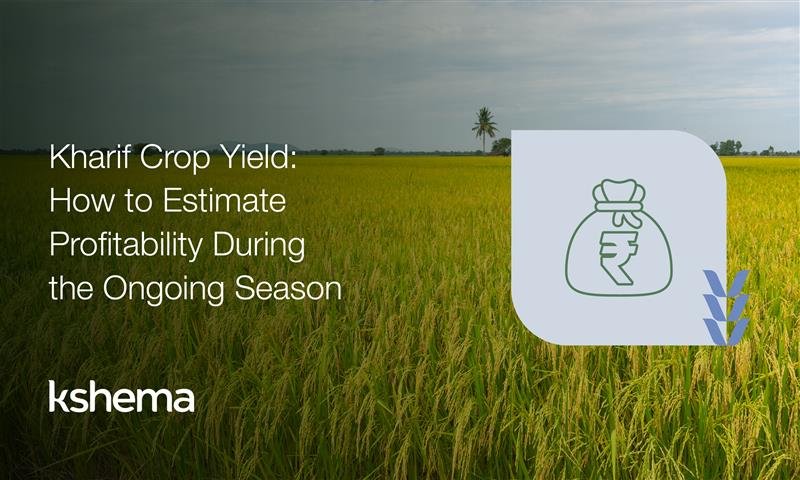 Kharif Crop Yield, Kharif Crops, Proven Ways to Prevent Loss, Paddy Cultivation, Paddy Cultivation in India, crop insurance, agriculture insurance, crop insurance scheme, crop insurance status, climate smart agriculture, agriculture insurance company, agriculture insurance companies, agriculture insurance scheme, fasal bima app, kharif crops, impact of climate change on agriculture, crop insurance beneficiary list, sustainable farming, sustainable agriculture, crop insurance application, organic farming in India, types of farming in India, organic farming methods, sustainable agriculture practices, agriculture schemes in India, farming business ideas, agri insurance, agri insurance scheme, kharif crops in which season, kharif and rabi crops difference, crop insurance app, paddy cultivation, farming technology, kharif crops in india, rabi crops in india, kharif season crops list, rabi season crops list