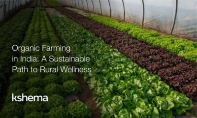 Organic Farming in India: Sustainable Agriculture Guide