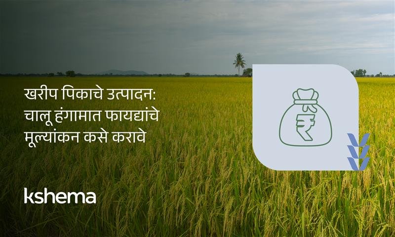 खरीप पिकाचे उत्पादन, खरीप हंगाम, पीक नियोजन, शेती खर्च, पीक विमा, बाजारभाव, शेतकरी मार्गदर्शिका