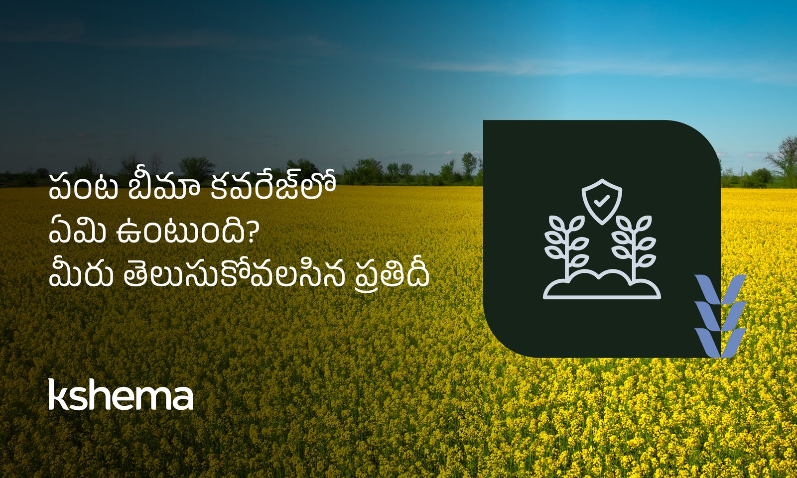 పంట బీమా కవరేజ్ ద్వారా వరదలు, వడగళ్ల వాన వంటి ప్రమాదాల నుంచి ఆర్థిక రక్షణ పొందుతున్న రైతు—క్షేమా యాప్తో సులభ క్లెయిమ్