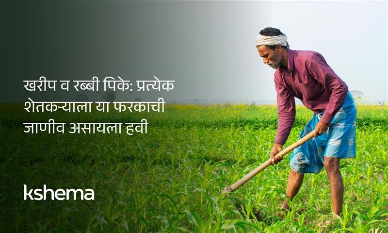 खरीप व रब्बी पिके फरक सारांश तालिका – पेरणी, काढणी, हवामान, सिंचन आणि पीक विमा माहिती