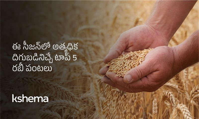 రబీ పంటలు, రబీ సీజన్లో గోధుమ, ఆవాలు, మసూర్, బార్లీ, సెనగలు—విత్తన కాలం, MSP ప్రయోజనాలు మరియు అధిక దిగుబడి చిట్కాలు