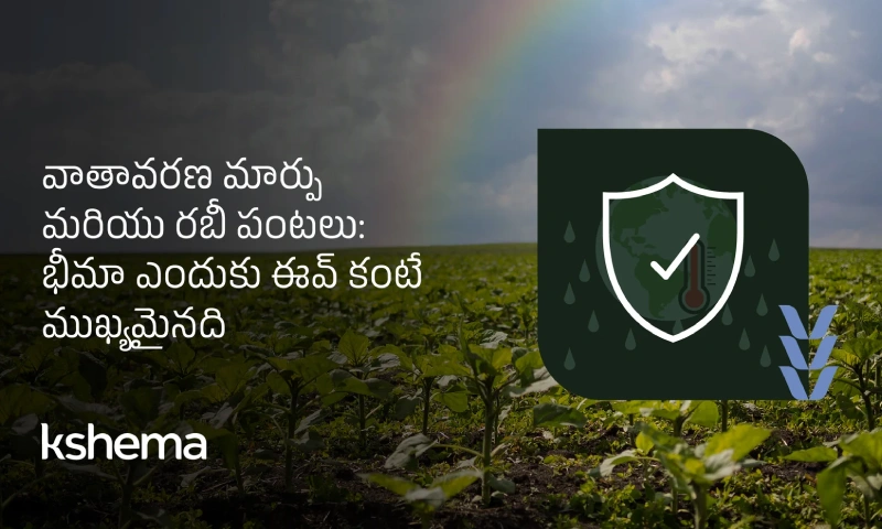 రబీ పంట బీమా, వాతావరణ మార్పుల ప్రభావంలో రబీ పంట బీమా రక్షణ