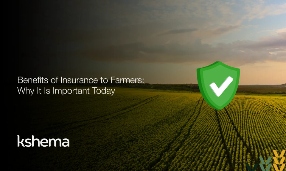 benefits of insurance to farmers, Farmer standing in crop field insured under crop insurance